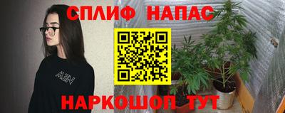 гашик Гай