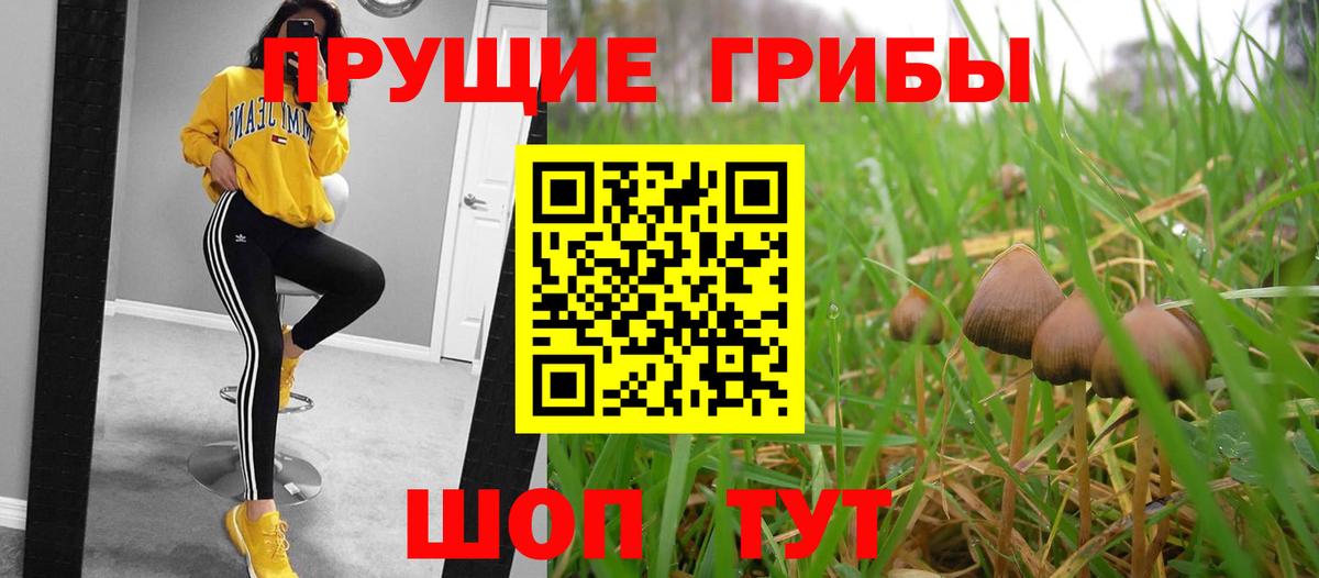 Галлюциногенные грибы прущие грибы  Вход с VPN  Можга 